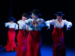 Costa del Flamenco