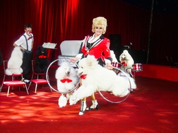 ������� ���