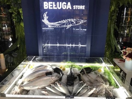 Beluga Store