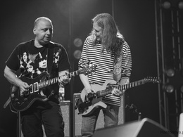  & Co