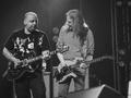  & Co