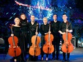 Renaissance Cellos.  -  